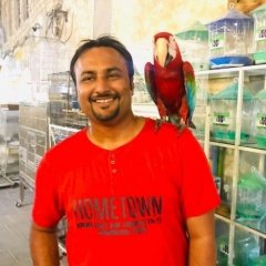 Divyang Patel