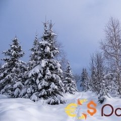 Spark_D3