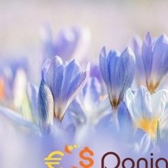 ClonexDEV